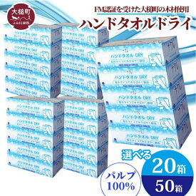 【ふるさと納税】ペーパーハンドタオル ( 20箱 50箱) 日用品 消耗品 送料無料 まとめ買い 備蓄 生活雑貨 東北流通 業務用 生活必需品 ハンドタオル