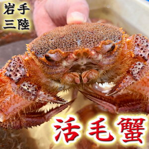 yӂ邳Ɣ[Łzyߘa8NzOuъIv | 400g×2 |2026N2`4 VN̋ | т т