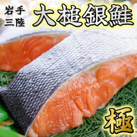 【ふるさと納税】 大槌 銀鮭 ( ひと塩 ) 切り身 8切 ( 1切れ 真空包装約 80g～100g )