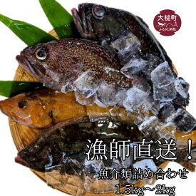 【ふるさと納税】 漁師直送！お任せ魚介類の詰め合わせ 1.5kg～2kg 【オリジナルクリアファイル付き】【期間限定1月～3月発送】