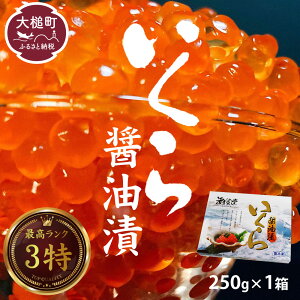 yӂ邳Ɣ[Łzy2025N10{蔭z ݖЂ Y ʌ 250g × 1 Ⓚ CN  H  CN ikura ɏi 3   TP      CN 