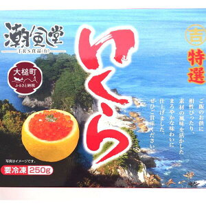 yӂ邳Ɣ[Łzy2025N10{蔭z Y ʌ 250g Ⓚ CN  H  CN ikura ɏi  TP      CN j N Hi O