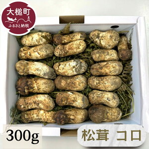 yӂ邳Ɣ[Łzss\tyߘa7N10蔭z R (~jTCY1{6cm) 300g
