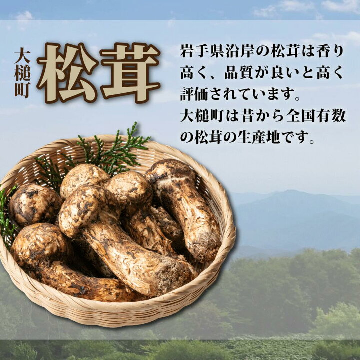 楽天市場】【ふるさと納税】《先行予約》【令和7年10月より発送】松茸 