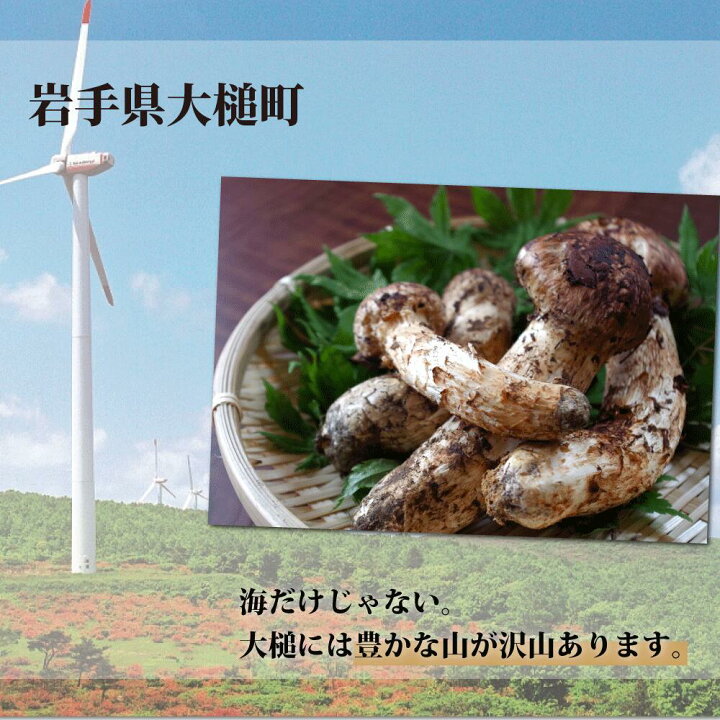 楽天市場】【ふるさと納税】《先行予約》【令和7年10月より発送】松茸 