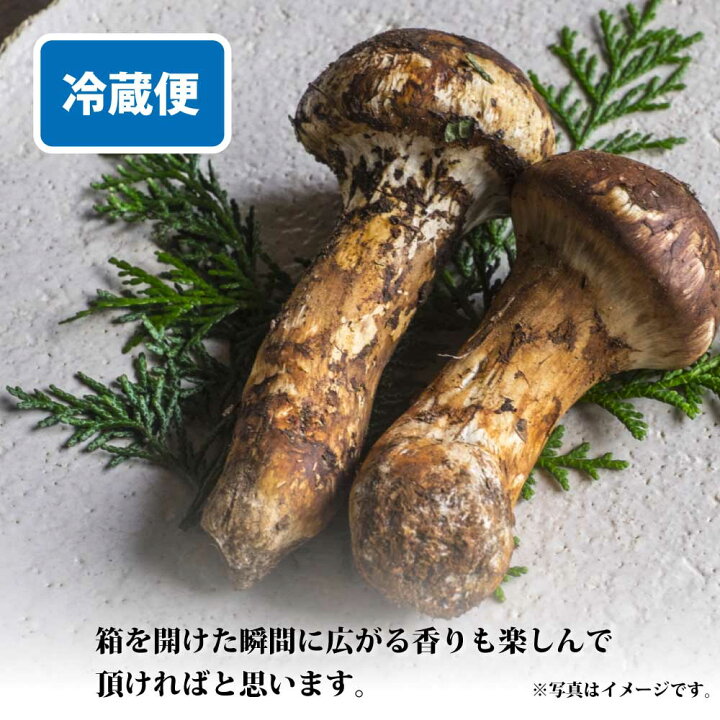 楽天市場】【ふるさと納税】《先行予約》【令和7年10月より発送】松茸 