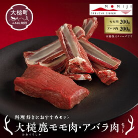 【ふるさと納税】【料理好きにおすすめセット】大槌鹿モモ肉200g・アバラ肉200gセット 岩手県産 天然鹿 鹿肉 ジビエ ヘルシー 低カロリー 冷凍 赤身