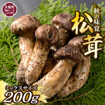 楽天市場】岩手 県 産 松茸の通販