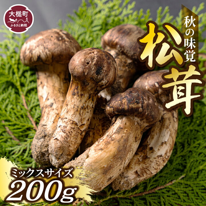 楽天市場】【ふるさと納税】松茸 200g 岩手 県 産 国産 まつたけ 