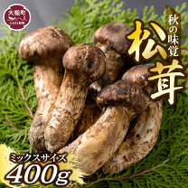 楽天市場】松茸の通販