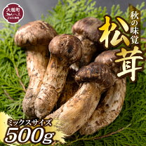 楽天市場】マツタケ 500gの通販