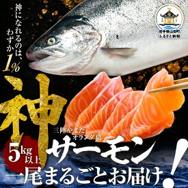 【ふるさと納税】【R9年度先行予約】神 サーモン 数量限定 5キロ以上一尾まるごとお届け シリアルナンバー入りの木札つき【三陸やまだ漁協】三陸山田 山田町 山田湾 山田産 トラウトサーモン 鮭 養殖 刺身 カルパッチョ 生食