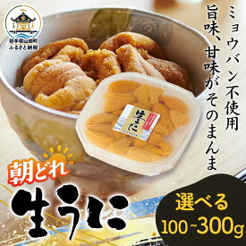 【ふるさと納税】【無添加】【選べるパック数】生うに　ミョウバン不使用 100〜300g 1〜3パック 三陸産 長根水産 国産 三陸山田 岩手県 山田町 三陸 うに ウニ 雲丹 うに キタムラサキウニ 特選