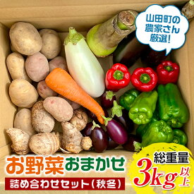 【ふるさと納税】 先行予約 TV番組で紹介されました 高評価★4.2 三陸山田産 野菜 【8月下旬〜11月下旬発送】 野菜おまかせ セット 野菜3kg 岩手県 山田町 なす ピーマン にんじん 里芋 じゃがいも 里芋 根菜 きのこ 白菜 YD-892
