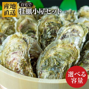 yӂ邳Ɣ[Łz_Iׂeʁ^yR8N115菇Izт͂́włZbgx ORc OY RcY Rcp CYi   y JL ORcy YD-585