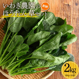 【ふるさと納税】 いわき農園の新鮮ほうれん草セット 2kg ホウレンソウ 野菜 【配送日指定不可】YD-609