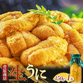 【ふるさと納税】 生うに150g 数量限定 生ウニ うに丼 軍艦巻き 海鮮丼 菅原商店 キタムラサキウニ ミョウバン不使用 牛乳瓶 無添加 三陸 うに 山田町 むらさきうに 雲丹 岩手県 さんりく 三陸ウニ 山田湾産 瓶 UNI YD-352var