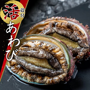 yӂ邳Ɣ[Łz X̊ktсi2ijyeʂIׂz  Ar ORc ORc ORc RcY CYi VR  AXC yzwsz YD-422var