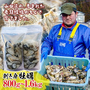 yӂ邳Ɣ[Łz_ۂEقĂ̔gyZbg 3N̂̑嗱yIO Rcp  JL kaki hotate YD-497var