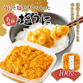 【ふるさと納税】岩手県 菅原商店 うにと塩だけで作る 塩うに 100g YD-578
