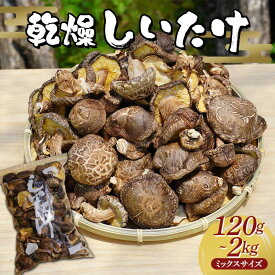 【ふるさと納税】＼選べる容量／勝山さんの乾燥椎茸120g 200g 400g 2kg（ミックスサイズ）岩手県山田町 三陸山田 岩手三陸産 椎茸 原木 野菜 きのこ YD-676var