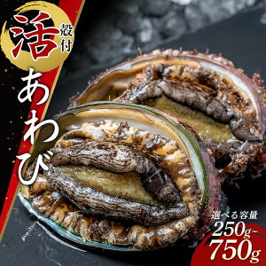 �y�ӂ邳�Ɣ[�Łz �������X�̊k�t������сi2���i�j�y�e�ʂ��I�ׂ�z � �A���r �O���R�c����� �O���R�c� �O���R�c �R�c�Y �C�Y�i �V�R� ���� ���A�X�C�� �y�z�����w��s�z YD-741var