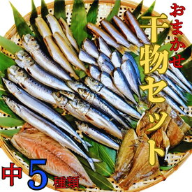 【ふるさと納税】おまかせ干物セット（中）【大和水産】三陸山田 山田町 魚 魚介 干物 おかず 夕飯 詰合せ カワハギ アジ メアジ チダイ サバ イワシ サンマ タラ カレイ ムツ YD-832