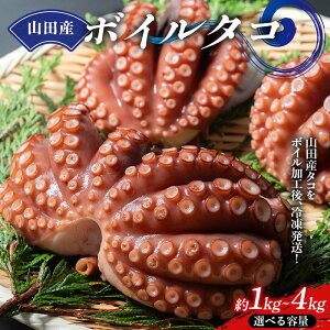 yӂ邳Ɣ[ŁzyIׂeʁzΐY̎RcY{C^R 1kgE2kgE4kg ORc Rc CYi Rcp  hg ^R YD-876var