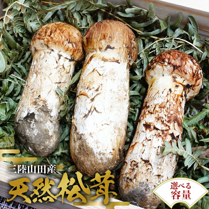 楽天市場】【ふるさと納税】日本に4名しかいない原木乾椎茸づくり名人 