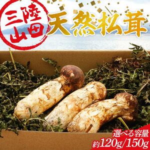 yӂ邳Ɣ[Łz 2025Ns\ 9{`10{\I 啟ۂ̎ORcYVR 120g 150gyEzsz ORc Rc OY  ̂ YD-893var