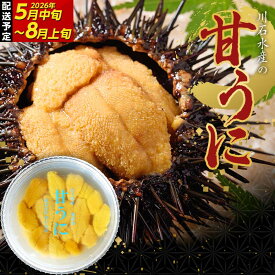 【ふるさと納税】【2026年先行予約】 川石水産 甘うに 150g～750g 1～5パック 生ウニ 無添加ウニ キタムラサキウニ ミョウバン不使用 無添加ウニ 天然ウニ 岩手県 山田町 【沖縄・離島配送不可】 YD-702var