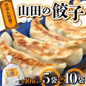 【ふるさと納税】 ＼選べる容量／ びはん特製！山田の餃子10個入り×5袋 10個入り×10袋 陸山田 山田町 肉 中華 山田の醤油 惣菜 YD-931var