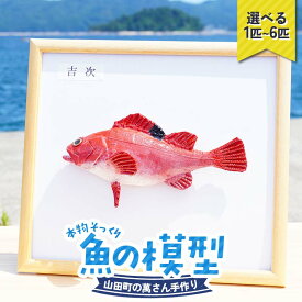 【ふるさと納税】＼選べる容量／萬さん手作り、本物そっくり魚の模型 1点 2点 6点 三陸山田産 山田町 山田湾 工芸品 職人 匠 YD-935var