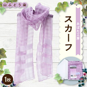 yӂ邳Ɣ[ŁzRԂǂ@XJ[ty1415192z