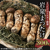 楽天市場】岩泉 松茸の通販