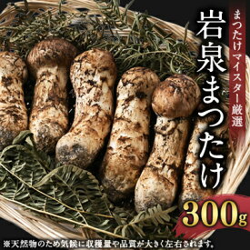 【ふるさと納税】【2026秋発送】岩泉まつたけ 300g【配送不可地域：離島】【1421529】