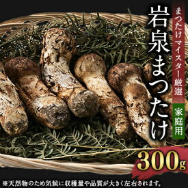 【ふるさと納税】【2026秋発送】【自家用】岩泉まつたけ 300g【配送不可地域：離島】【1421549】