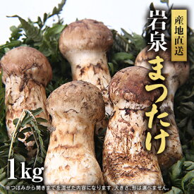 【ふるさと納税】【2026秋発送】岩泉まつたけ 直送 1kg【配送不可地域：離島】【1423373】