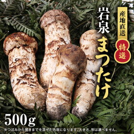 【ふるさと納税】【2026秋発送】【特選】岩泉まつたけ 直送 500g【配送不可地域：離島】【1423385】