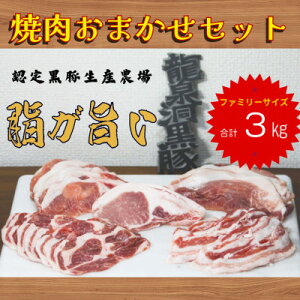 yӂ邳Ɣ[Łz򓴍؂܂ēZbg@3kg(3000g)yzsnFzy1618820z