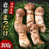 楽天市場】岩手 県 産 松茸の通販