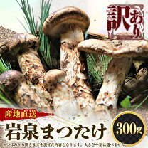 楽天市場】松茸 訳あり 岩手県の通販