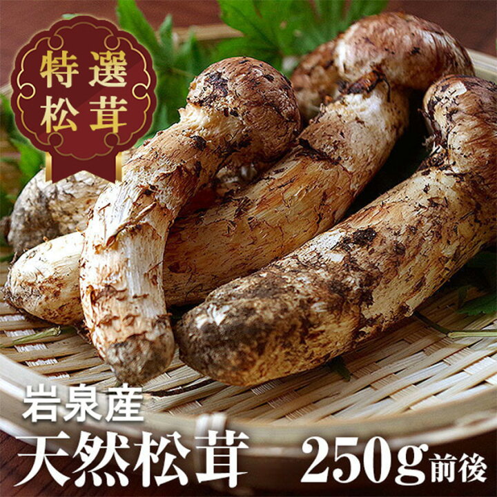 楽天市場】【ふるさと納税】【2024年9月中旬～10月中旬発送予定】松茸 