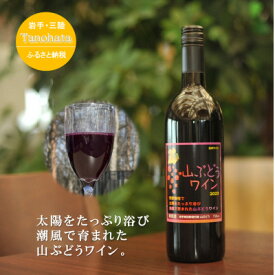 【ふるさと納税】山ぶどうワイン　甘口　750ML　1本【1582754】
