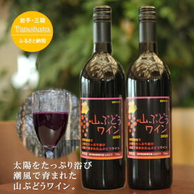 【ふるさと納税】山ぶどうワイン　甘口　750ML　2本【1582759】