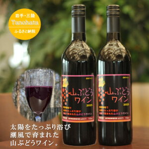 yӂ邳Ɣ[ŁzRԂǂC@Ì@750ML@2{y1582759z