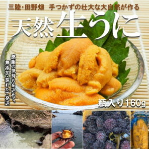 yӂ邳Ɣ[Łzy\E7{zEO@ȑ̂ꂢȊCň@r@Z(160g)yzsnFEꌧEBzy1657588z