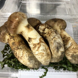 【ふるさと納税】天然松茸　200g【ミックスサイズ・数量・期間限定】岩手県産【配送不可地域：離島・沖縄県・九州】【1658903】