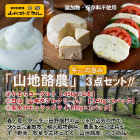 【ふるさと納税】～大自然で生まれ育った牛さんの恵～チーズ2種・ヨーグルト詰合せ【配送不可地域：離島】【1721066】