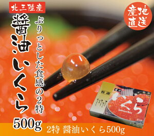 yӂ邳Ɣ[Łz 󂠂 OY ݖЂ () 500g 2 茧Y Y